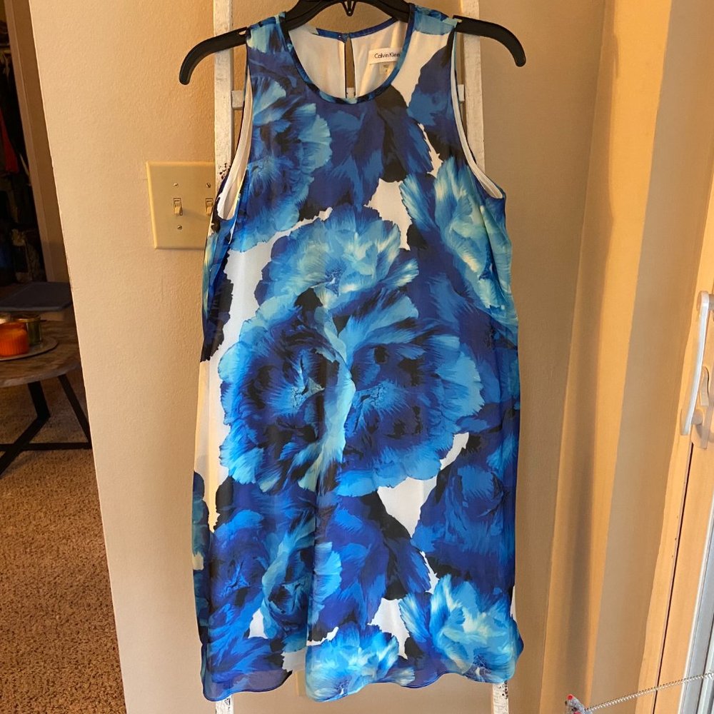 Calvin Klein Size 6 Floral Dress